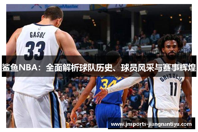 鲨鱼NBA：全面解析球队历史、球员风采与赛事辉煌